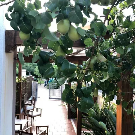 Holiday home Residenza Cala Dorata
